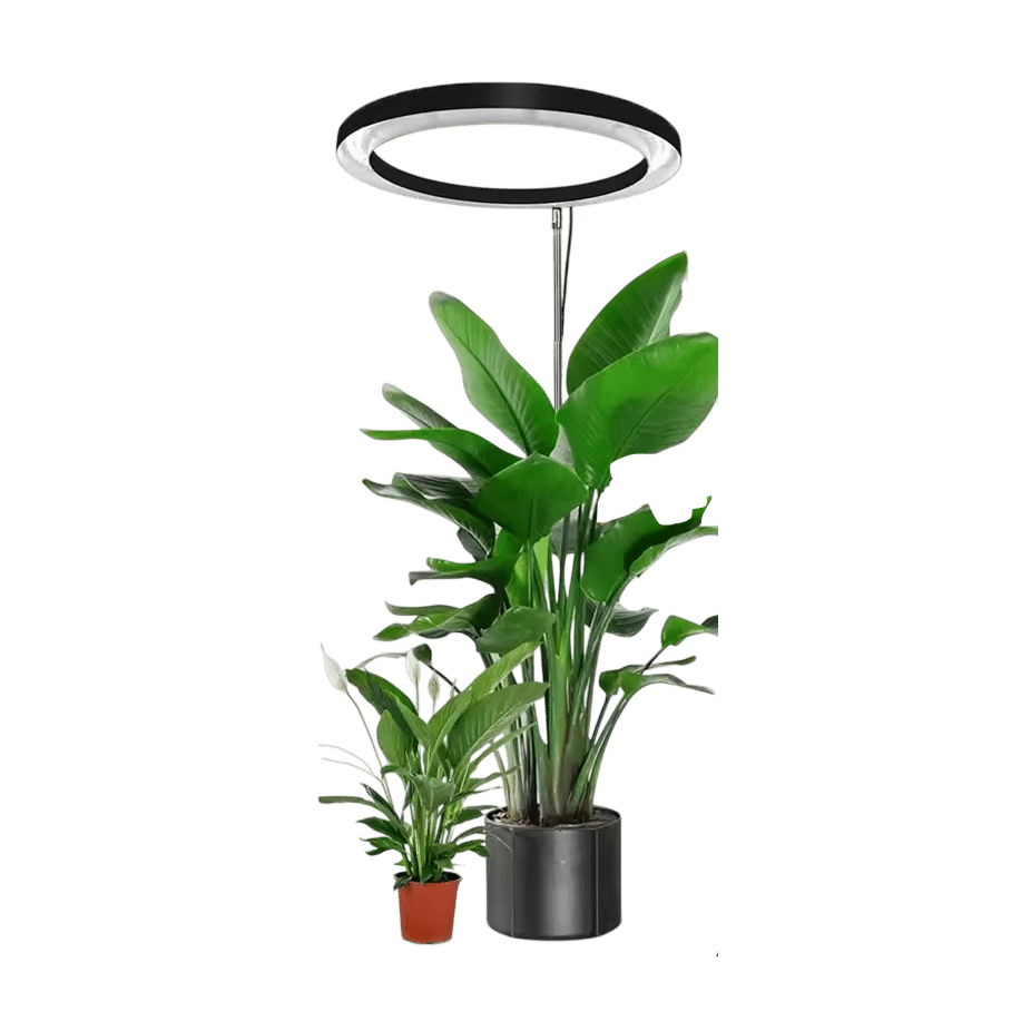 Best 5 Grow Lights For Indoor Plants of 2026: Transform Your Home Into ...