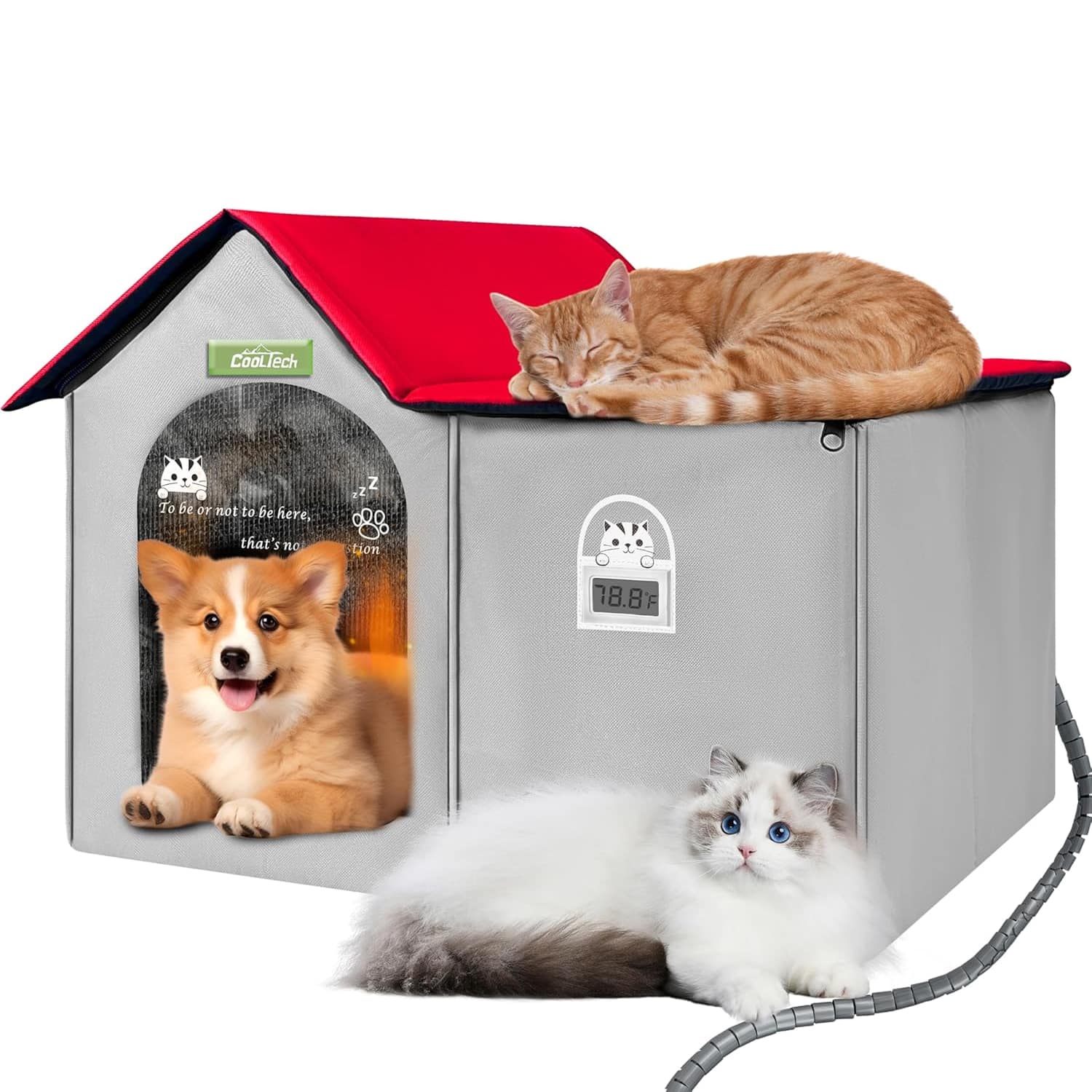 Best 5 Heated Cat Beds of 2025 for Your Feline