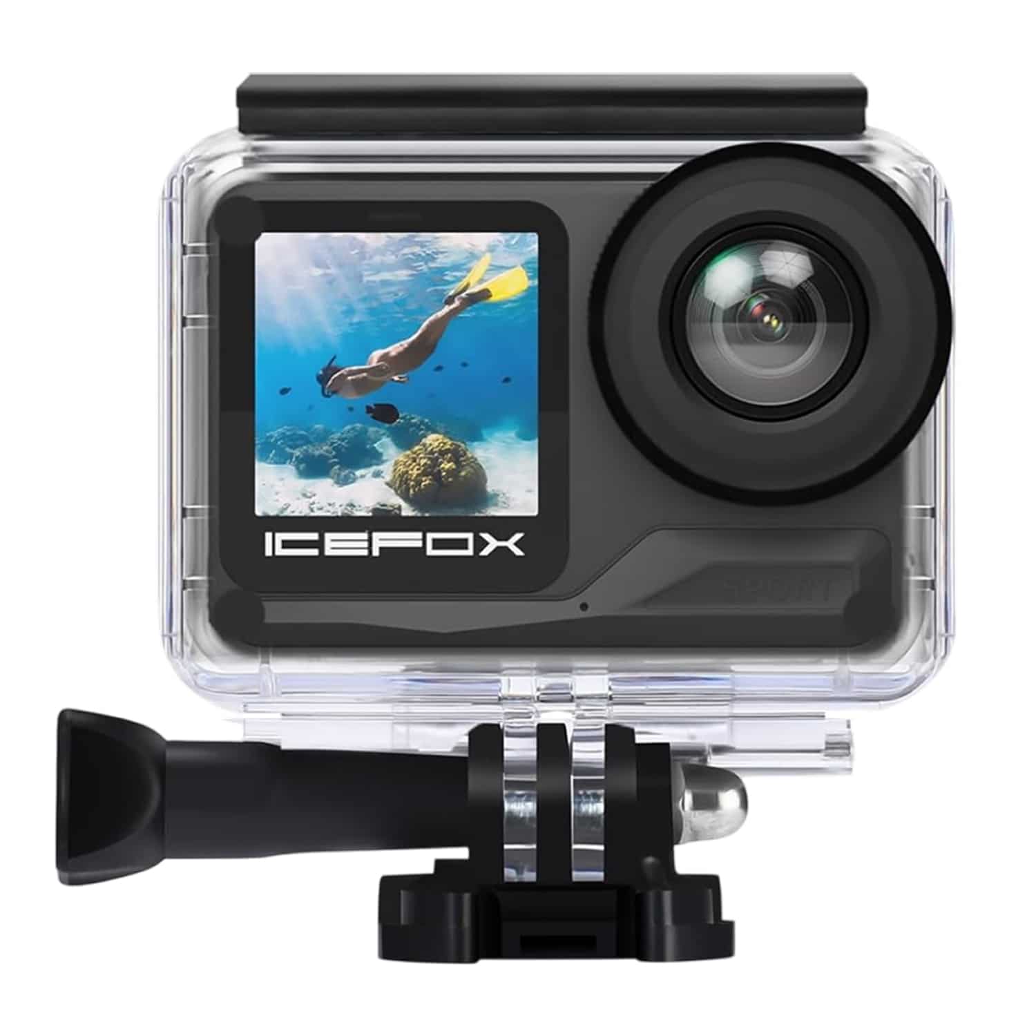 Best 5 Waterproof Cameras of 2025: Crystal-Clear Underwater Photography ...